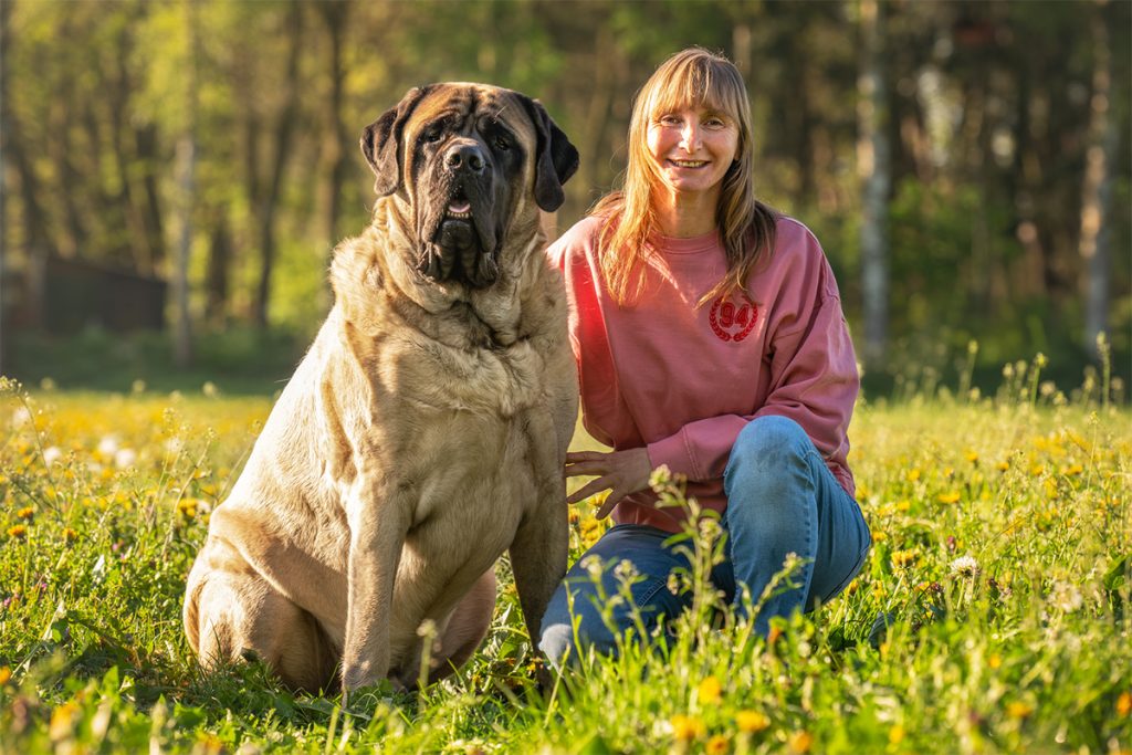 Vrouw zit naast grote mastiff in zonnige weide