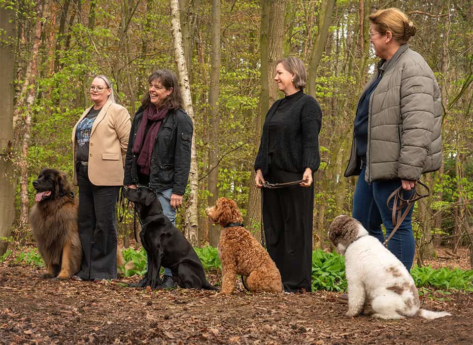 Vier vrouwen met vier honden in het bos