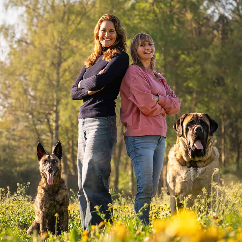 Twee vrouwen staan met twee honden in een zonnig park.