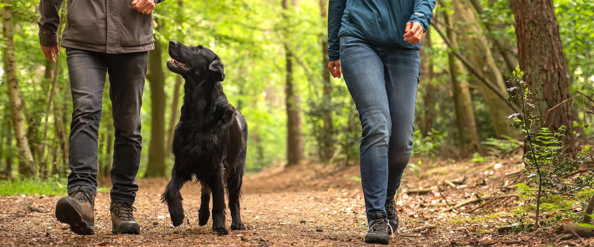 Twee mensen wandelen met zwarte hond in het bos
